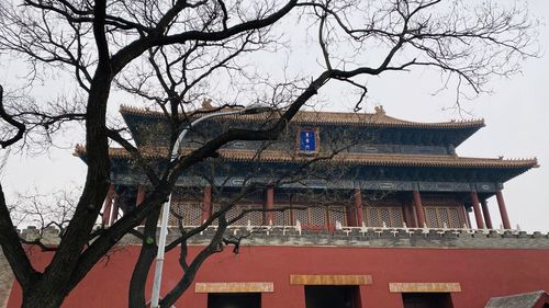 Low angle view of bare tree and building against sky