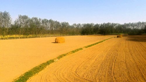 Scenic view of farm against clear blue sky