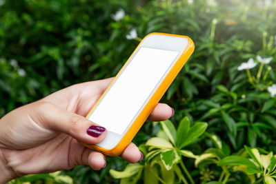 Close-up of hand holding mobile phone