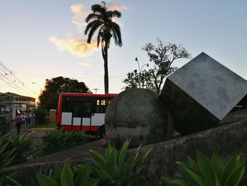 Palm trees by plants against sky