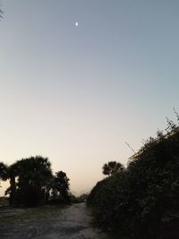 Trees on field against clear sky at dusk