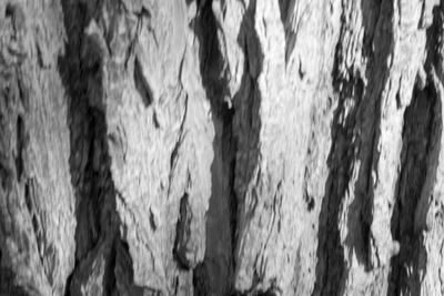 Full frame shot of textured surface