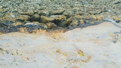 High angle view of rocks on beach