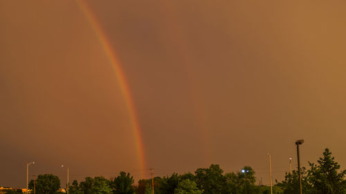 Rainbow over trees