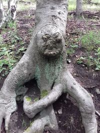 Close-up of old statue against tree trunk in field