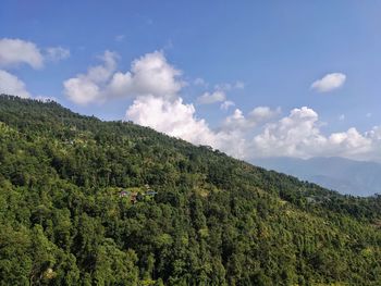 Scenic view of forest against sky