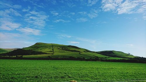 Scenic view of agricultural field against sky