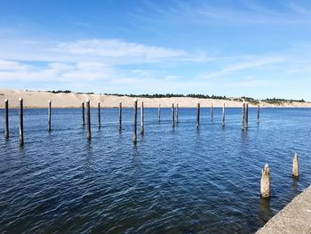 Wooden posts in sea against sky