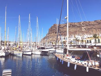 Sailboats moored in harbor