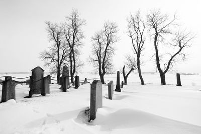 Bare trees in cemetery against sky during winter