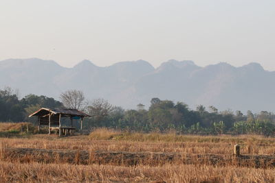 Scenic view of field against clear sky