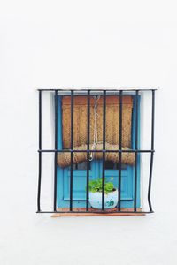 Blue window against white background