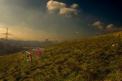 A shopping cart lies lonely and abandoned on a green field