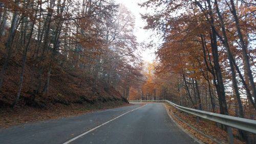 Road amidst trees against sky during autumn