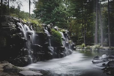 Scenic view of waterfall in forest