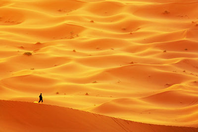 Scenic view of sahara desert