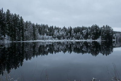 Reflection of trees in lake against sky