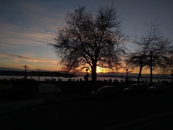 Silhouette trees against sky during sunset