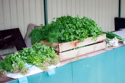 High angle view of vegetables on table