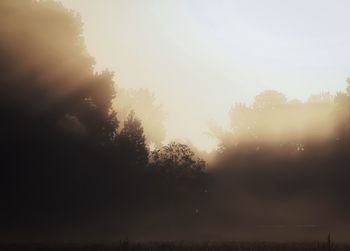 Trees against sky during sunset
