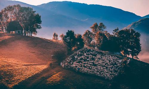 View of trees on landscape against mountain range