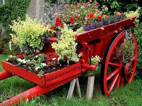 red, freshness, growth, grass, tree, plant, table, green color, park - man made space, flower, day, front or back yard, outdoors, wood - material, nature, food and drink, bench, no people, field, lawn