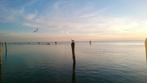 Scenic view of sea against sky during sunset