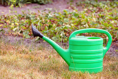 lawn