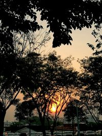 Silhouette trees against sky during sunset