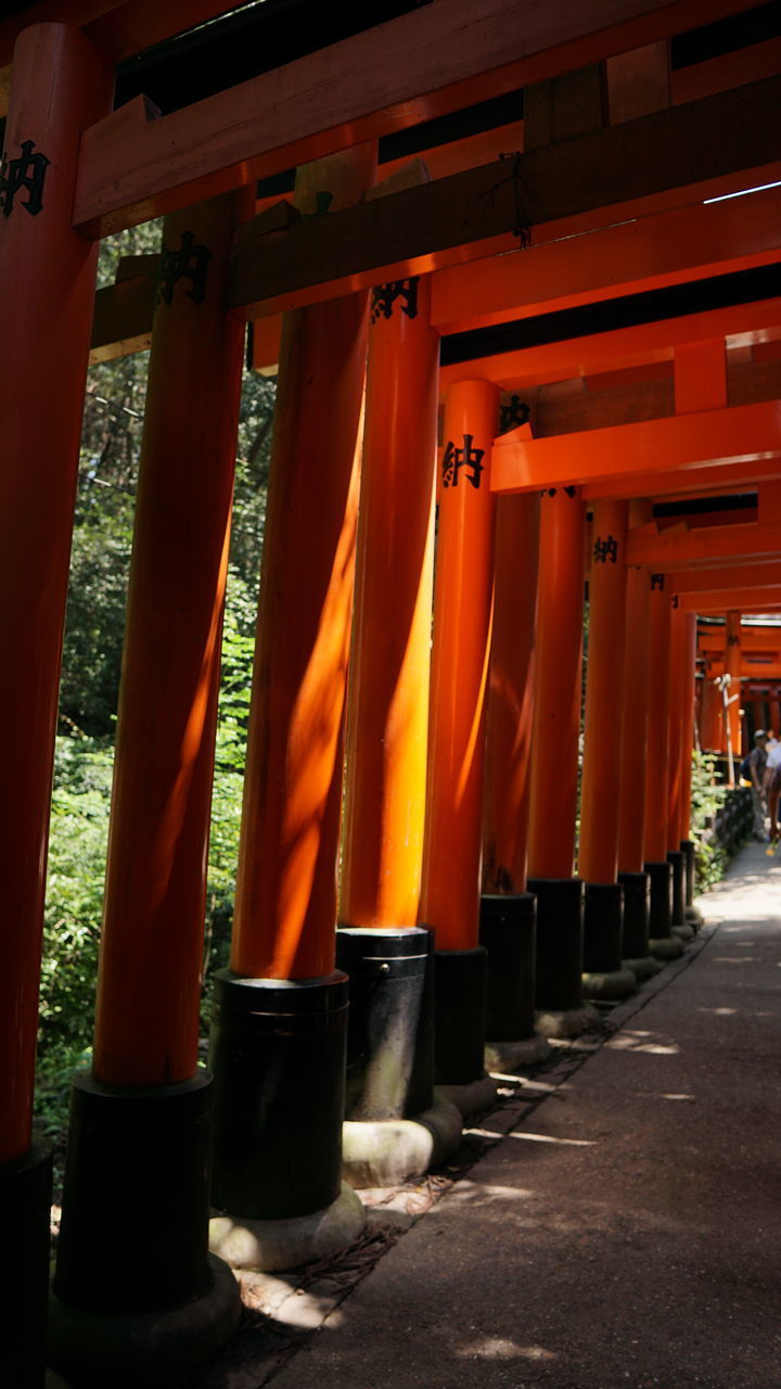 ROW OF TEMPLE