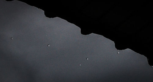 Low angle view of tree against sky