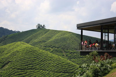 View of people looking at lush foliage