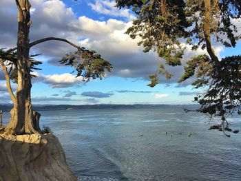 Scenic view of sea against sky