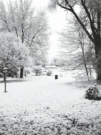 Snow covered landscape