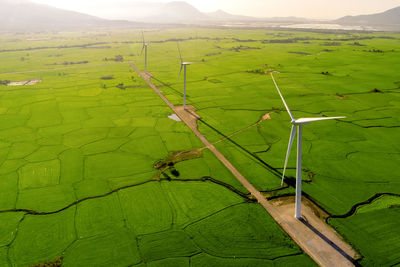 High angle view of green field