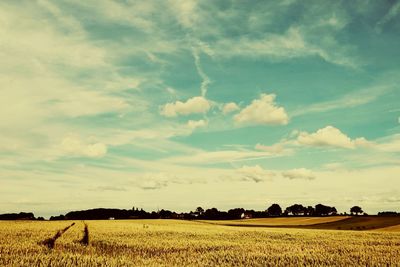 Scenic view of agricultural field against sky