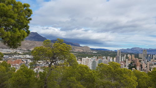 Trees and buildings in city against sky