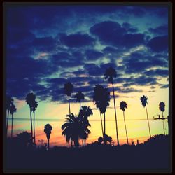 Silhouette of palm trees against cloudy sky