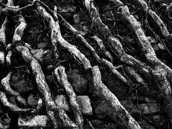Detail shot of rope