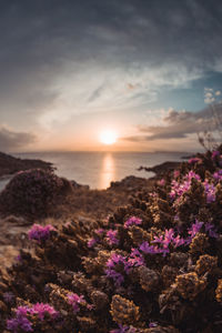 Scenic view of sea against cloudy sky during sunset