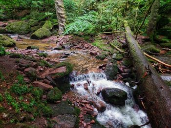 Stream flowing through rocks in forest