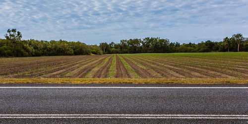 Scenic view of field against sky