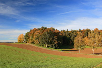 Trees on field against sky during autumn