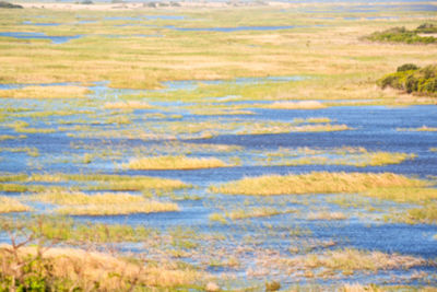 Scenic view of sea