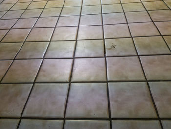 Full frame shot of tiled floor