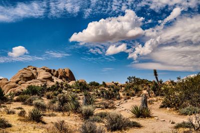 Scenic view of desert against sky