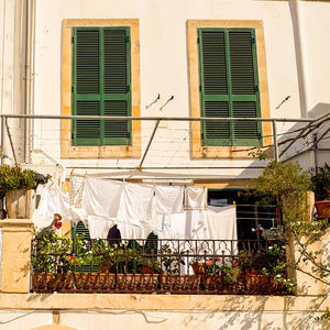 Potted plants on balcony of building