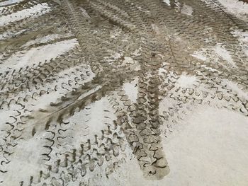 High angle view of tire tracks on beach