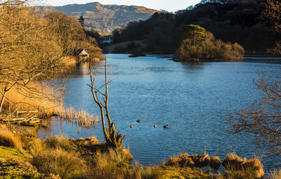 A view of derwentwater during a sunny morning, in early spring time, in lake district national park