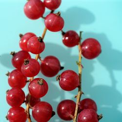 Close-up of red cherries